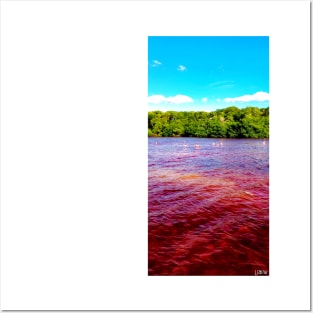 celestun ria wetland ecopark ecopop landscape photo in yucatan flamingo kawaii Posters and Art